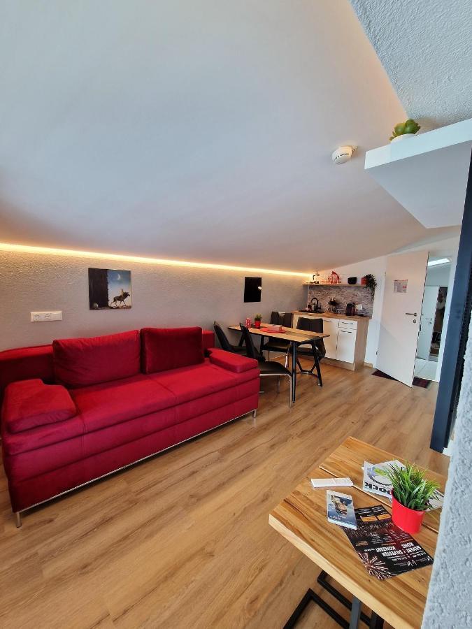 Apartment Kalina & Lian - Целль-ам-Зе Экстерьер фото